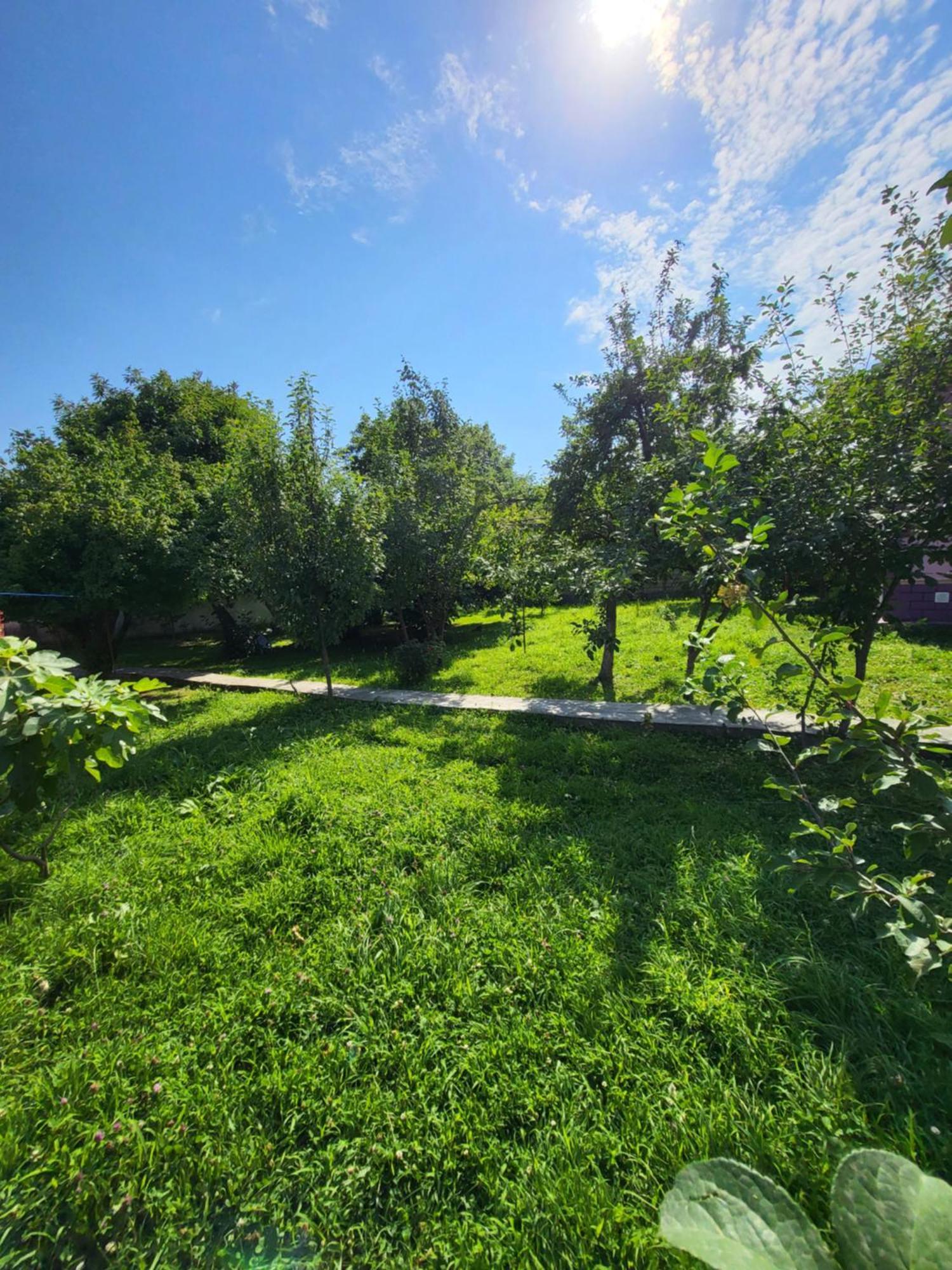 Gabala Garden Hostel Cameră foto